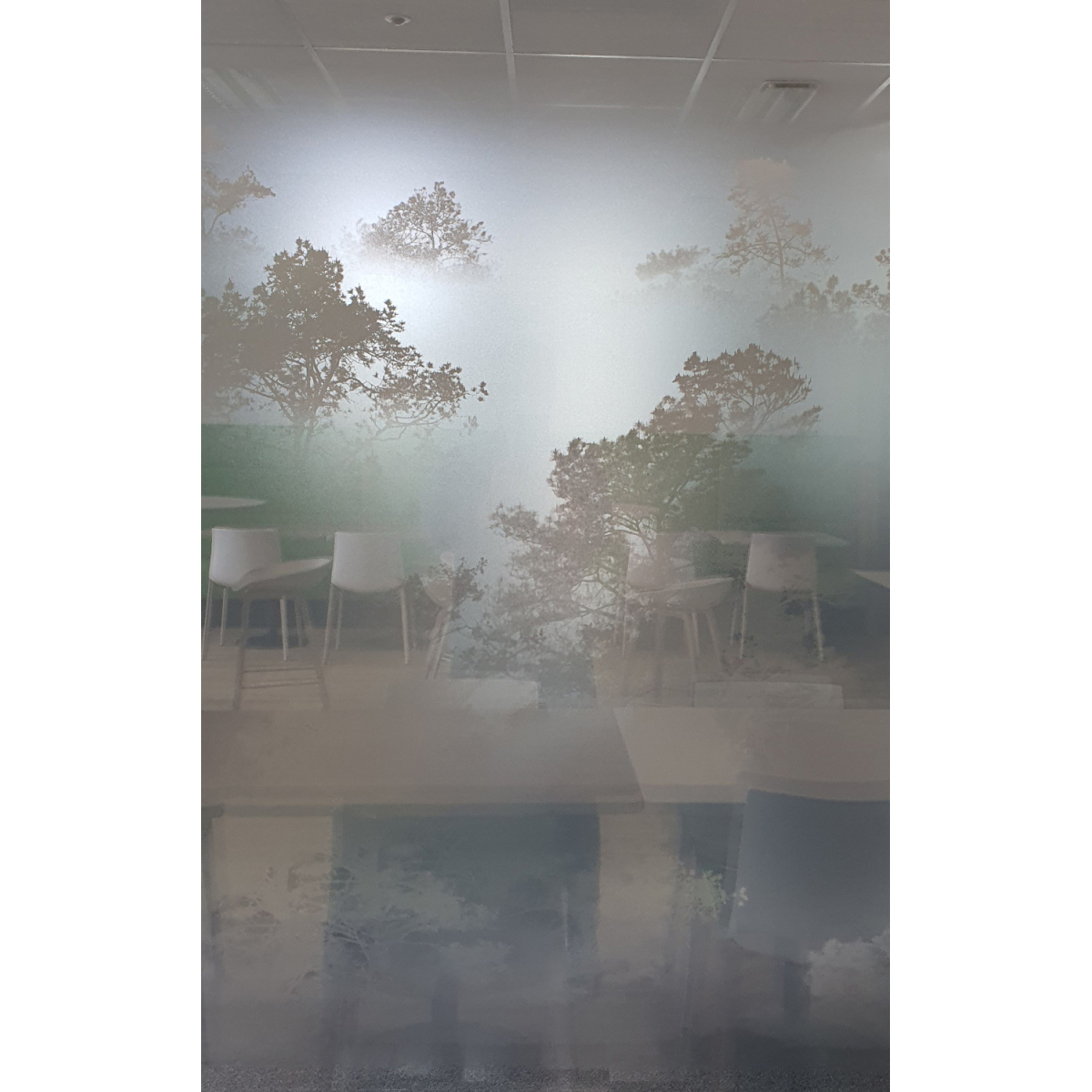 Decorative film for windows Morning mist deco depoli | Acte-Deco