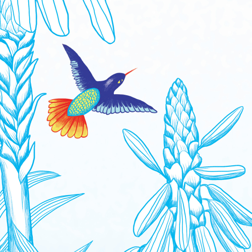 Hummingbird wallpaper - the flight - Acte-Deco