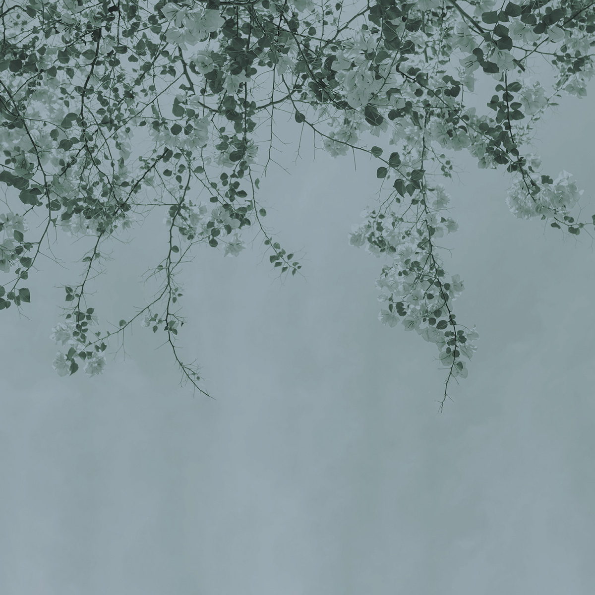Papel pintado Naturaleza panorámica - Blurry Green Acte-Deco
