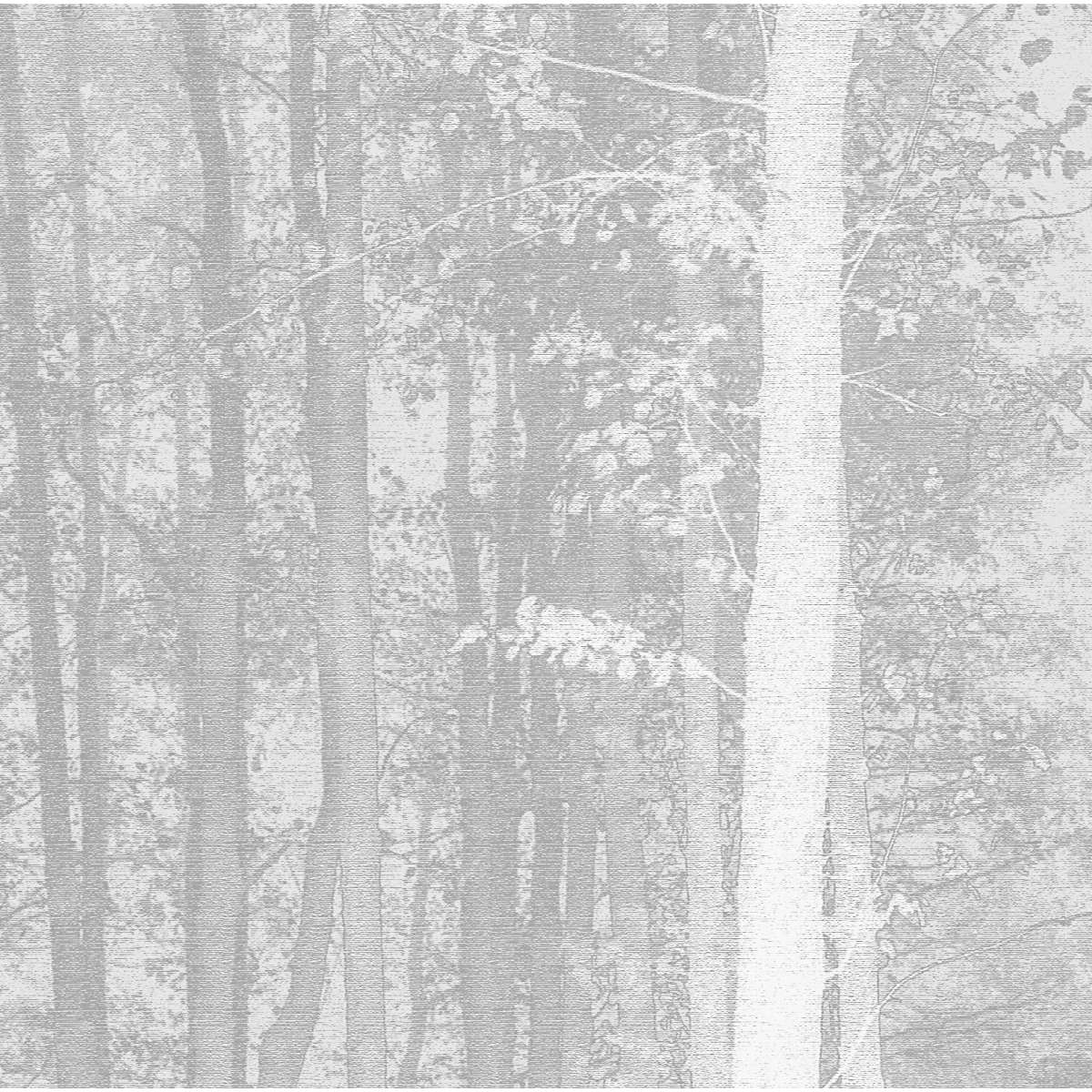 Carta da parati panoramica della foresta incantata - Acte-Deco