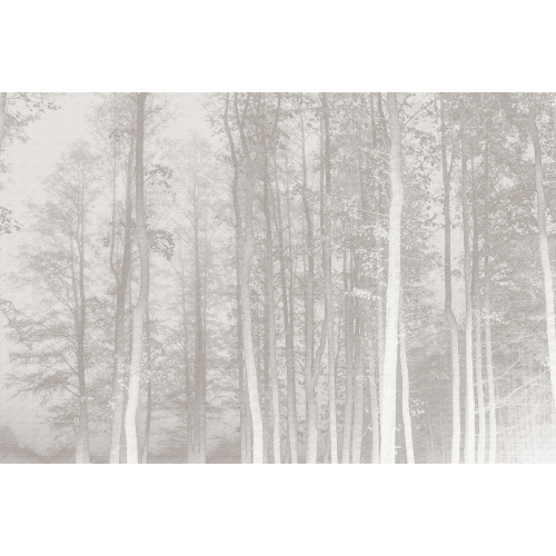 Papier peint forêt enchantée panoramique - Acte-Deco