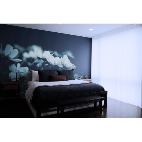 Papel pintado Panoramic cosmos flowers - Acte-Deco