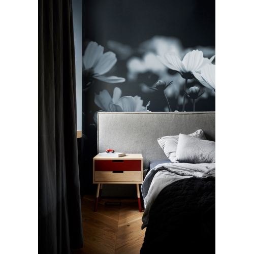 Papel pintado Panoramic cosmos flowers - Acte-Deco