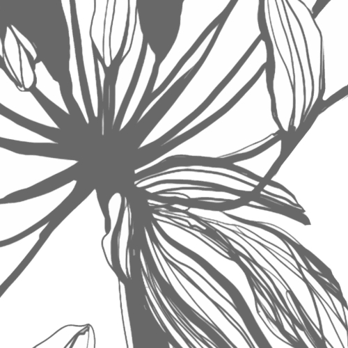 Panorama-Tapete Grafische Blume