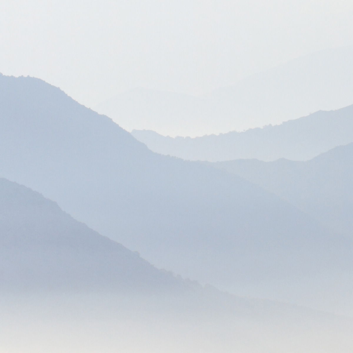 Papier peint panoramique Misty Mountains - Collection Acte-Deco