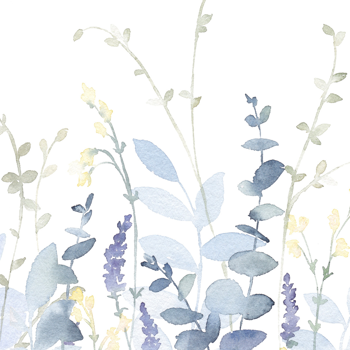 Poaceae panoramic wallpaper - Collection Noëmie Krey - Acte-Deco
