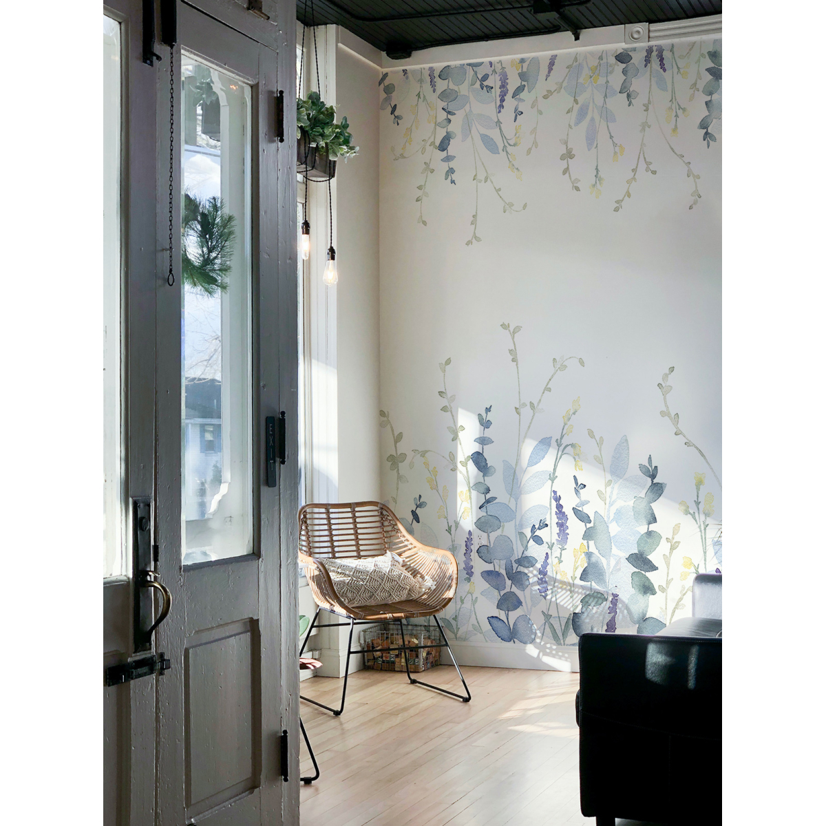 Poaceae panoramic wallpaper - Collection Noëmie Krey - Acte-Deco