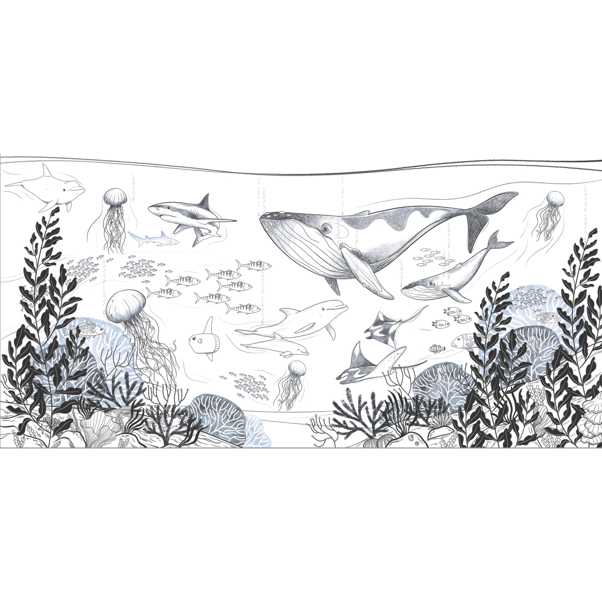 Panoramic Ocean wallpaper by Emmanuelle Colin for children's rooms