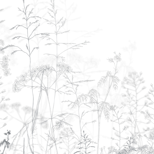 Carta da parati panoramica Passeggiata nel bosco - Collezione Lulu au crayon - Francia Acte-Deco