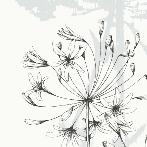Outdoor wallpaper Agapanthes