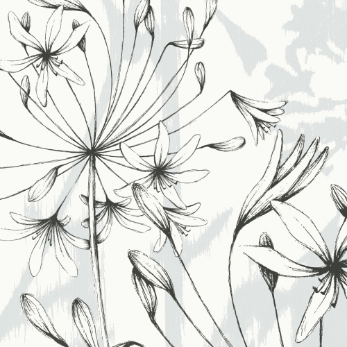 Outdoor wallpaper Agapanthes