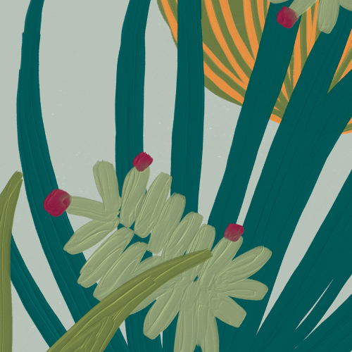 Papel pintado panoramico de vegetación de cactus