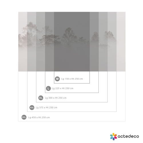 Carta da parati panoramica di foresta nebbiosa - Acte-Deco