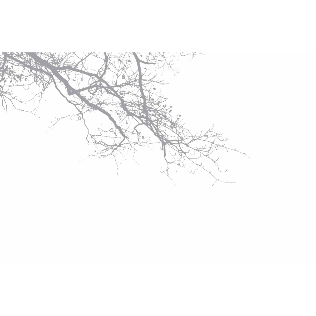 Papel pintado panoramico de ramas abstractas es una decoración atemporal que sigue siendo gráfica y elegante - Colección  Acte-D