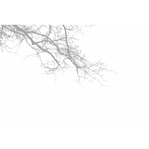 Papel pintado panoramico de ramas abstractas