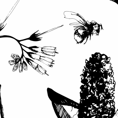 Panorama-Vliestapete grafische Feldblumen - Sammlung Silowane - Acte-Deco