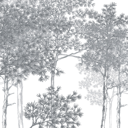 Papel pintado panoramico paisaje de bosque
