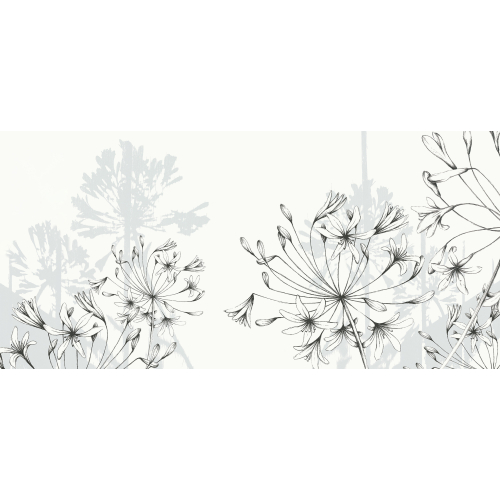 Panorama-Vliestapete Blumengrafik Agapanthus - Kollektion Luluaucrayon - Acte-Deco