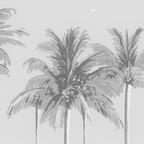 Panorama-Vliestapete Palmenlandschaft