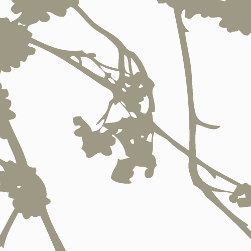 Papel pintado panoramico gráfico de ramas de árboles - Colección Acte-Deco