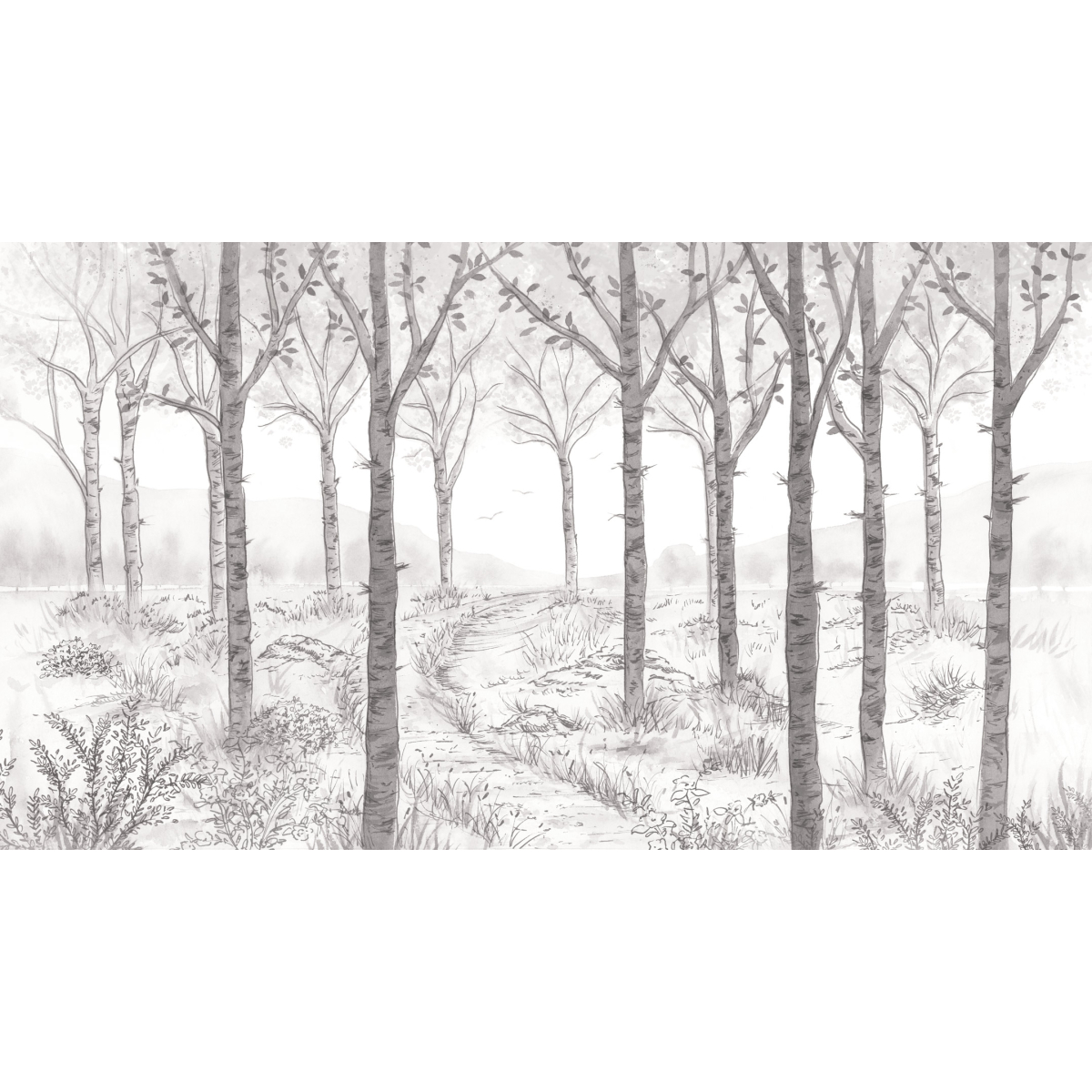 Panoramic wallpaper Birch forest landscape - Collection Noëmie Krey - Acte-Deco