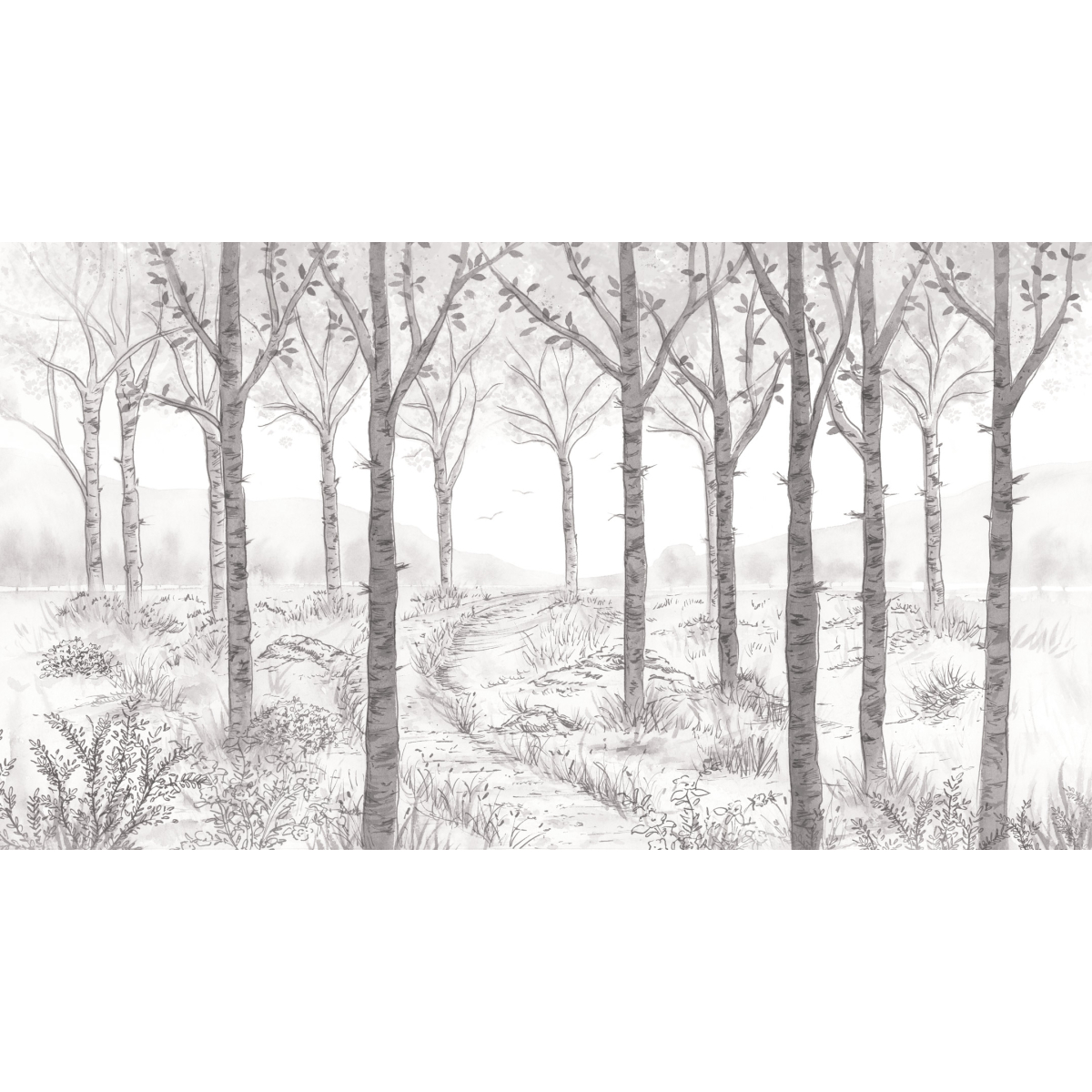 Papel pintado panoramico de bosque de abedules - Colección Noëmie Krey - Acte-Deco