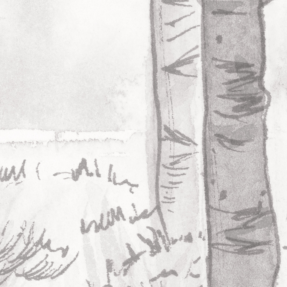 Papier peint panoramique Paysage de forêt de bouleau - Collection Noëmie Krey - Acte-Deco