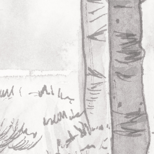 Papier peint panoramique Paysage de forêt de bouleau - Collection Noëmie Krey - Acte-Deco