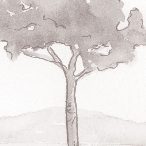 Panoramic  wallpaper pine tree landscape - Noëmie Krey Collection - Acte-Deco