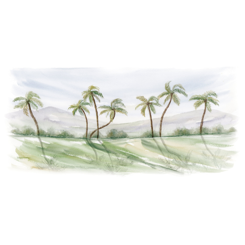 Papel pintado panoramico palmeras en acuarela