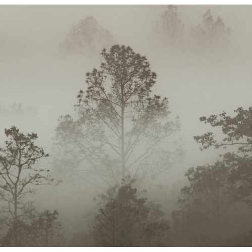 Carta da parati panoramica Morning Mists | Misura L | (francese) Acte-Deco