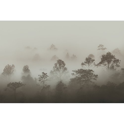 Panoramic Morning Mist Wallpaper | Size L Acte-Deco