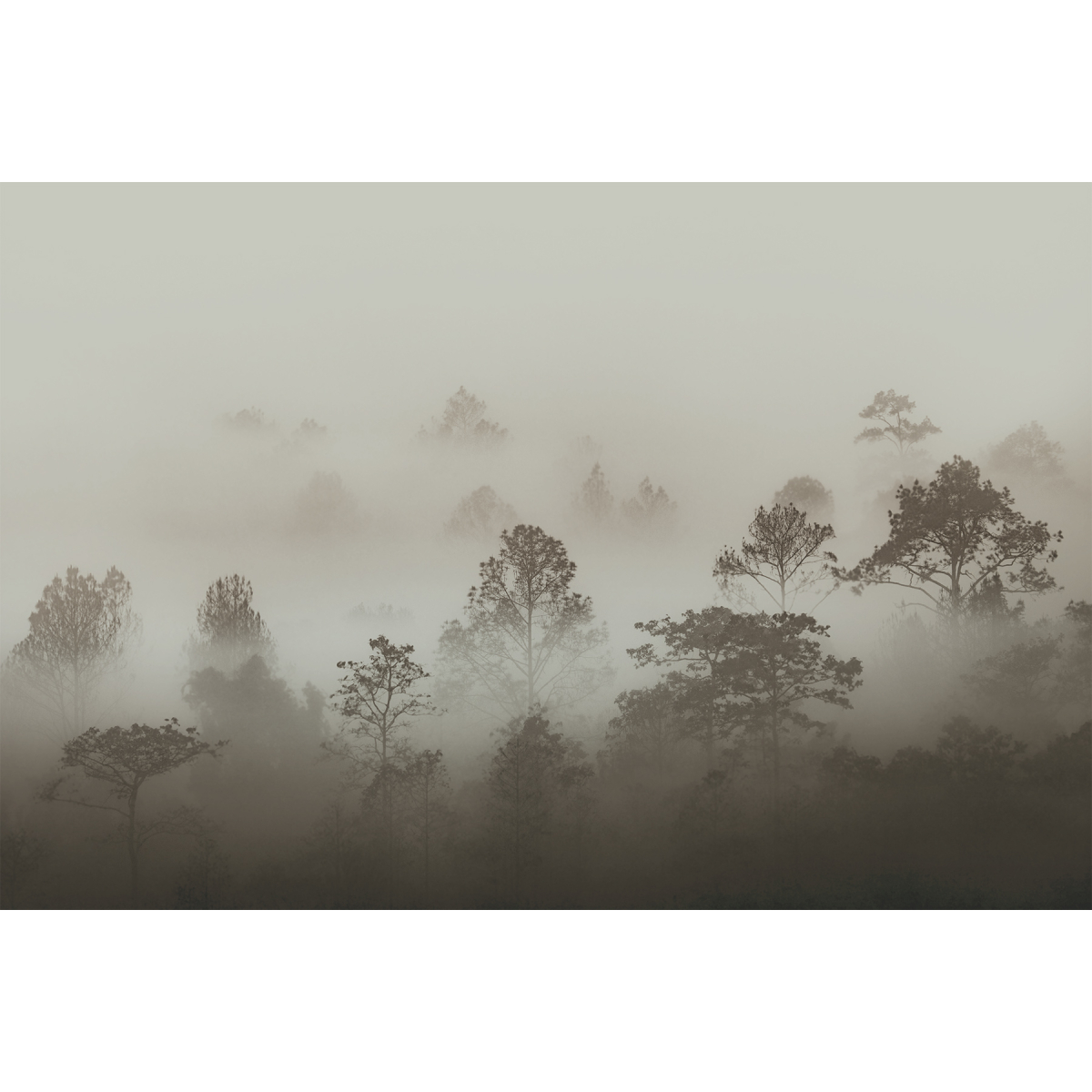Papel pintado Nieblas matinales panorámicas | Tamaño L | (francés) Acte-Deco