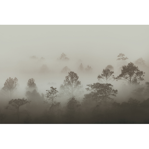 Panoramic Morning Mist Wallpaper - 255