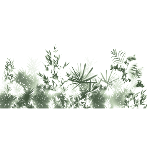 Papier peint panoramique Feuilles tropicales - Collection Michela Maranzana - Acte-Deco