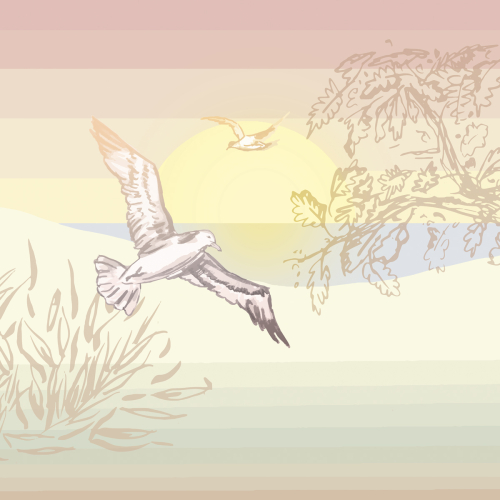 Papier peint panoramique L'île aux oiseaux