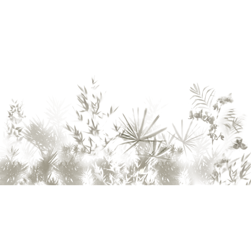 Decorative window film TROPICAL LEAVES