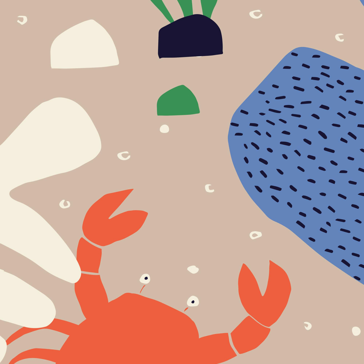 Papel pintado panorámico Cangrejos y animales marinos - Colección Zoé Jiquel - Acte-Deco