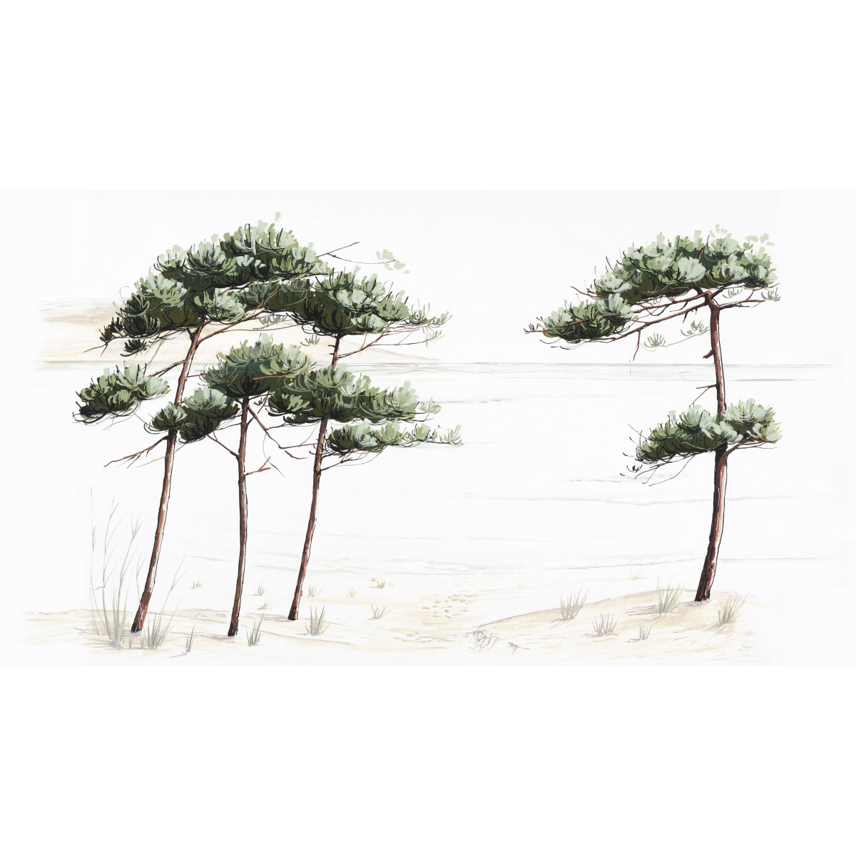 Panoramic wallpaper pine landscape - Collection Casa Luci - Acte-Deco