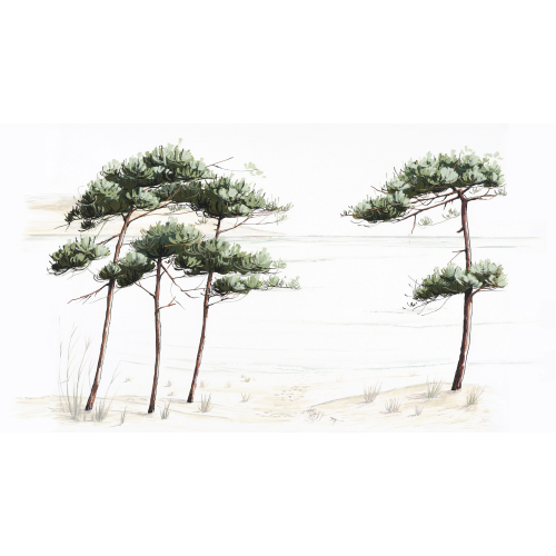 Panoramic wallpaper pine landscape - Collection Casa Luci - Acte-Deco