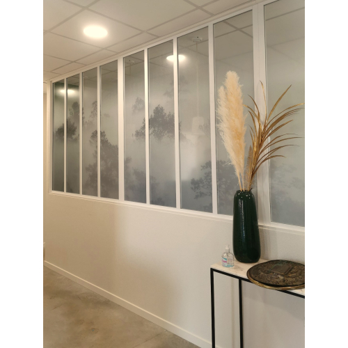 Decorative film for windows Morning mist deco depoli | Acte-Deco
