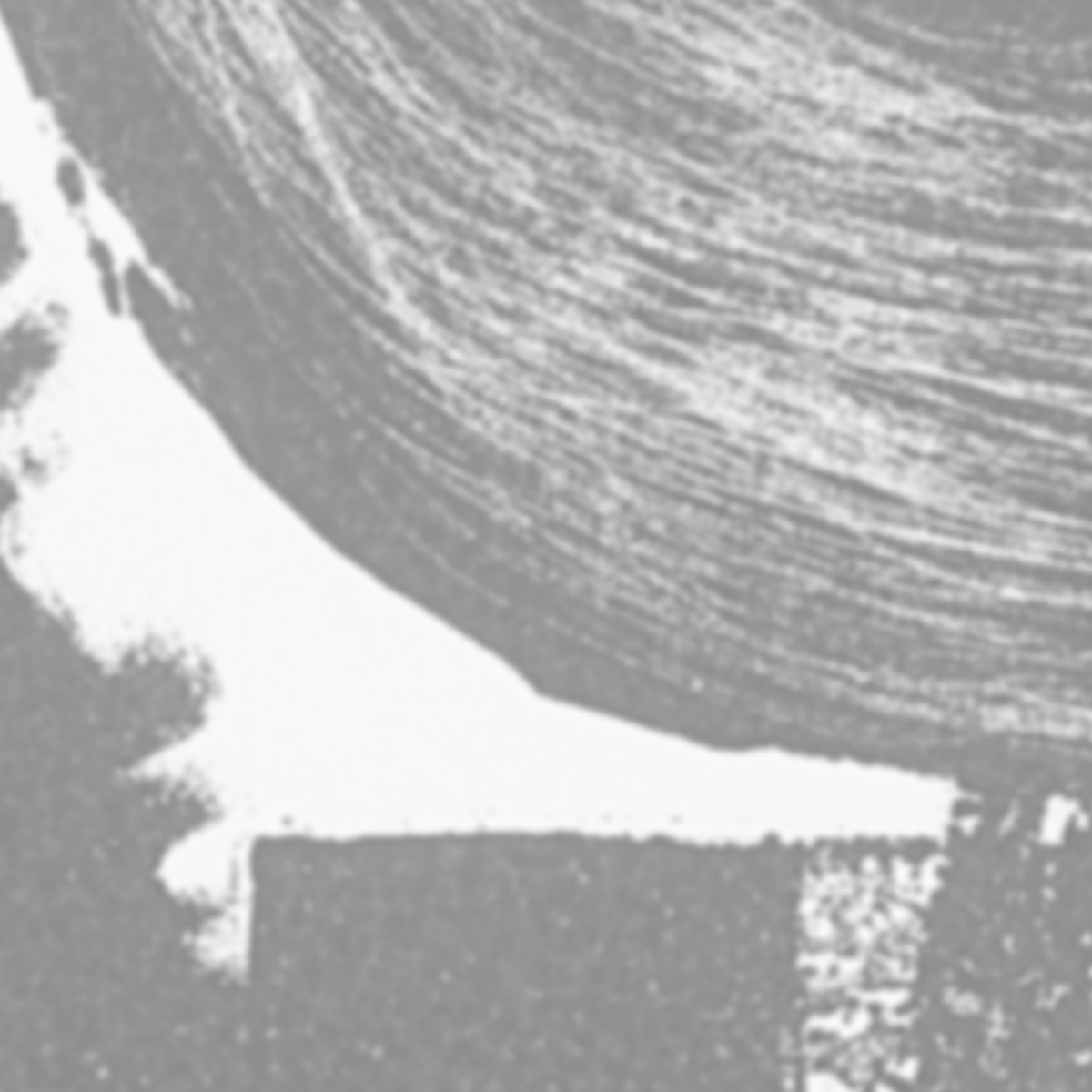 Papier peint panoramique ArtyP - Collection Nadia Barbotin - Acte-Deco