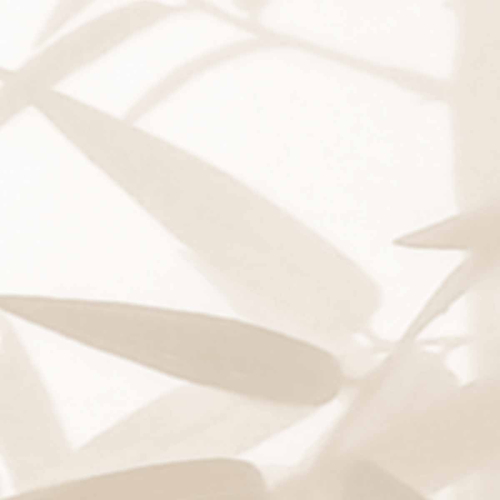 Ombres bambous panoramic wallpaper - Collection Acte-Deco