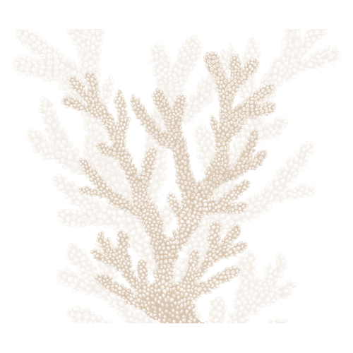 Papier peint panoramique Corail - Collection Lulu au crayon - Acte-Deco