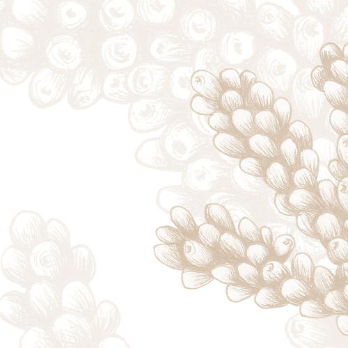 Papier peint panoramique Corail - Collection Lulu au crayon - Acte-Deco