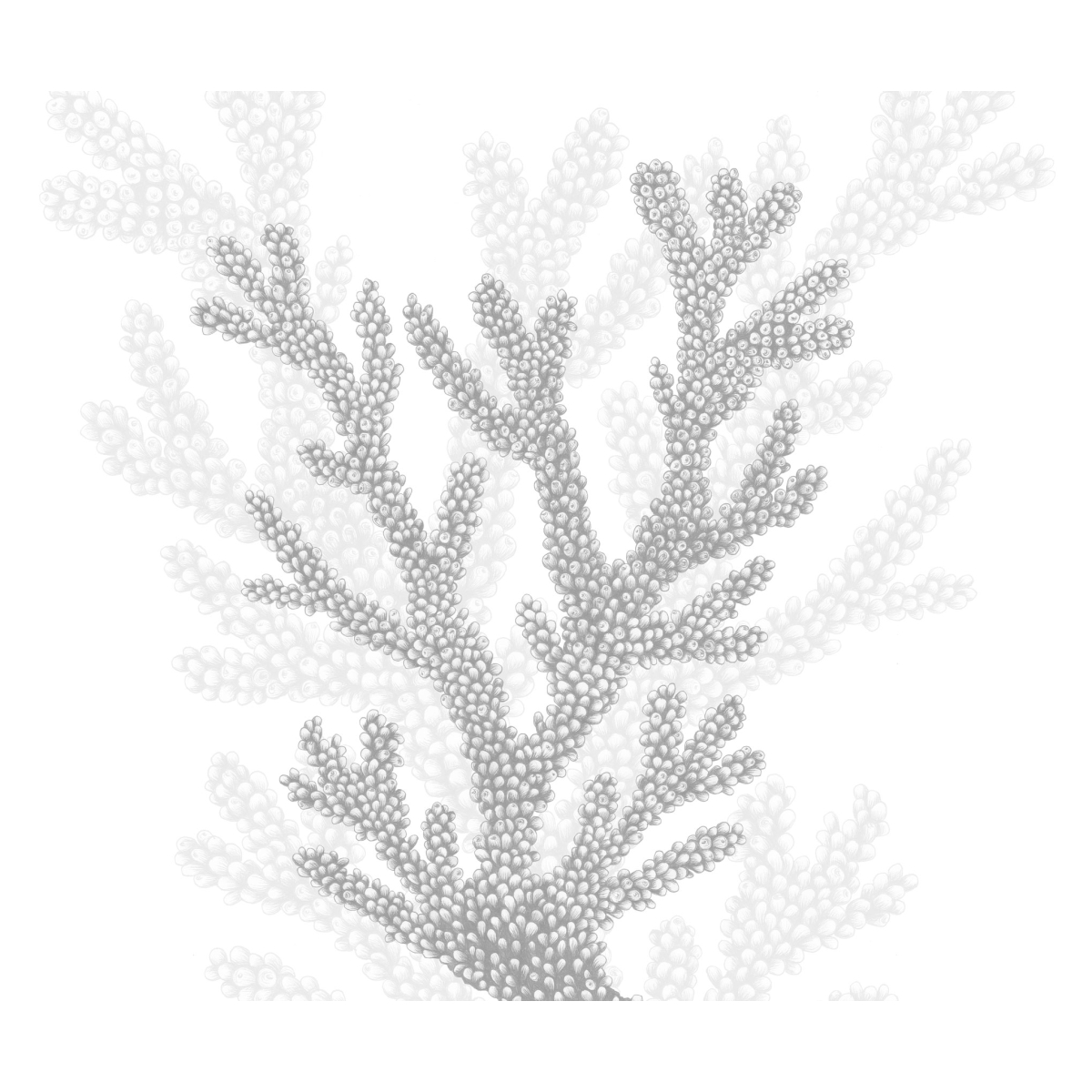 Papier peint panoramique Corail - Collection Lulu au crayon - Acte-Deco