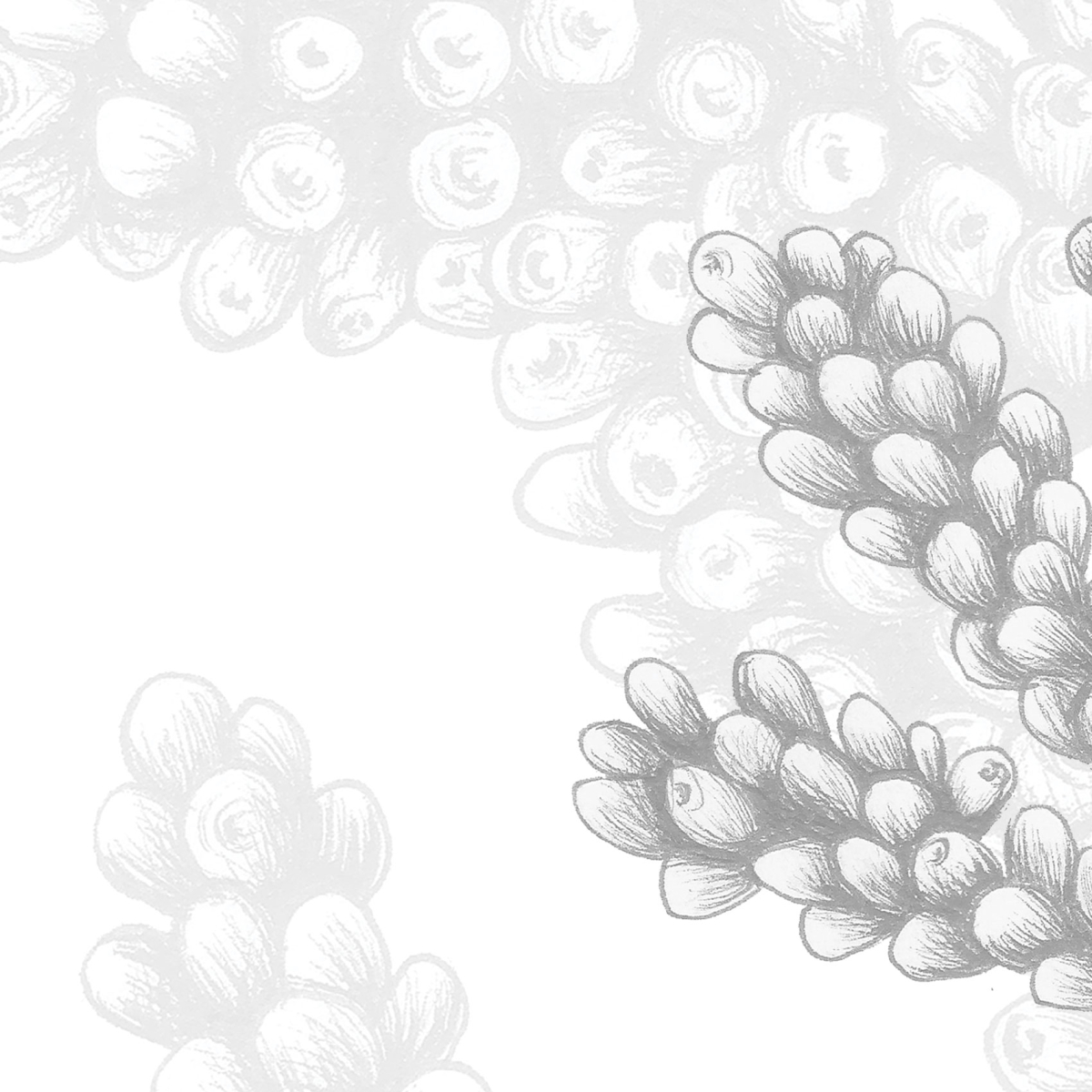 Papier peint panoramique Corail - Collection Lulu au crayon - Acte-Deco