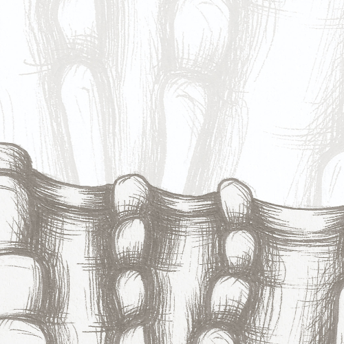Papier peint panoramique Coquillage - Collection Luluaucrayon - Acte-Deco