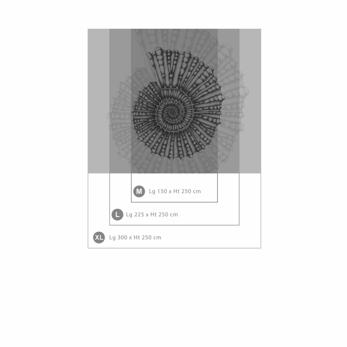 Panoramic wallpaper seashell - Collection Lulu au crayon - Acte-Deco