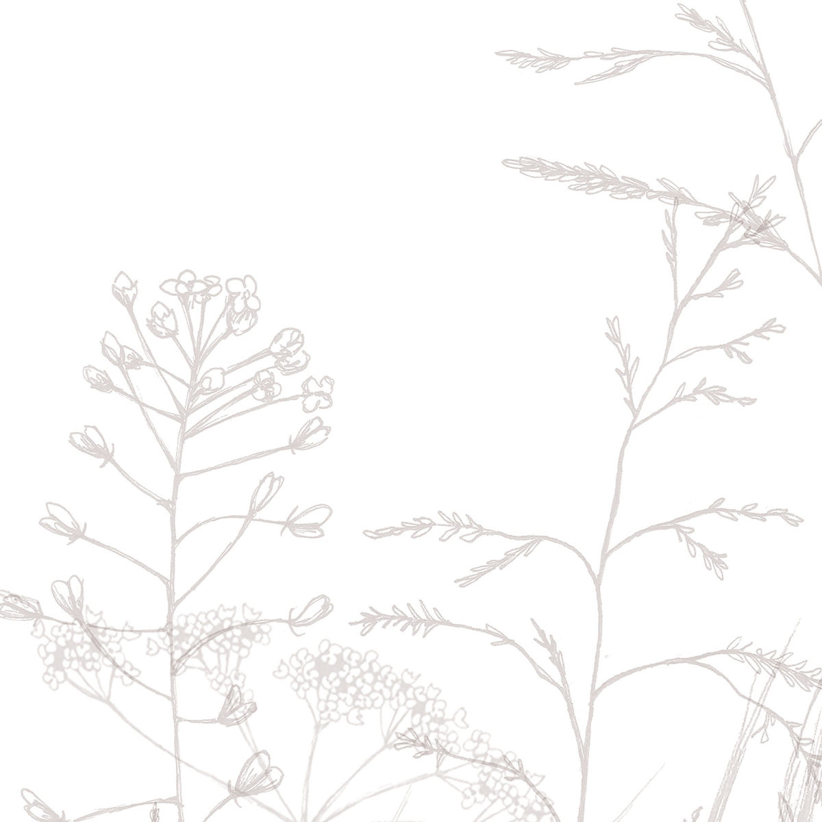 Papier peint panoramique Dans les champs - Collection Lulu au crayon - Acte-Deco